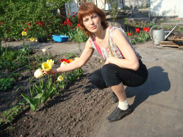 � �� ���� ��� 2010