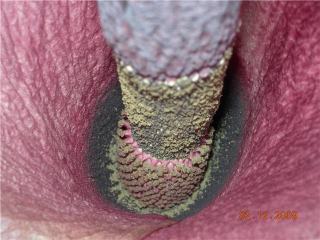 ������������ 3