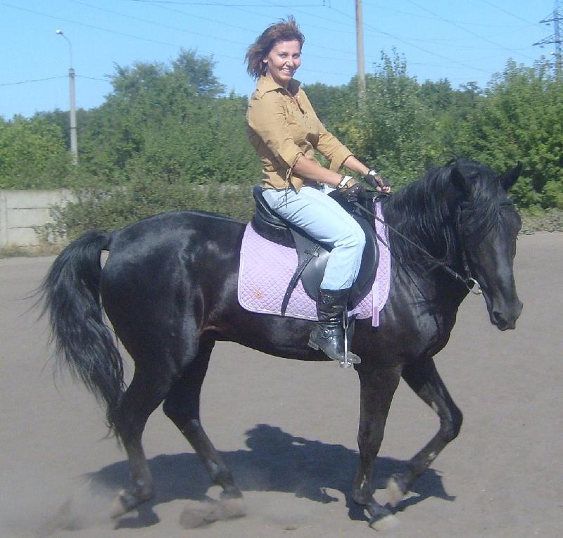 � � ������ ������ 2009�.