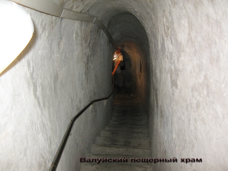 ���� 2010