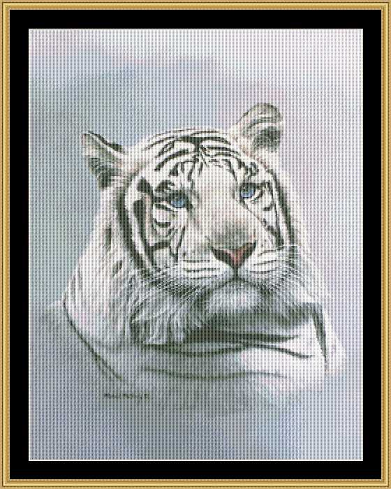 kustom krafts - MM-19 White Tiger