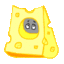 mysh244