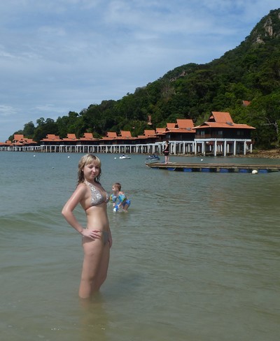 2011 ����