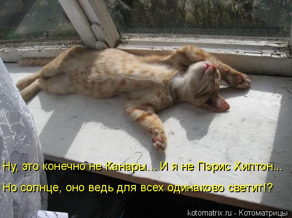 )))))