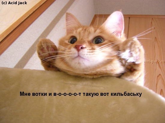 ����