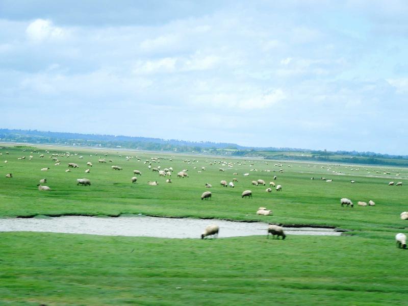 ���-���-������ (Le Mont-Saint-Michel)
