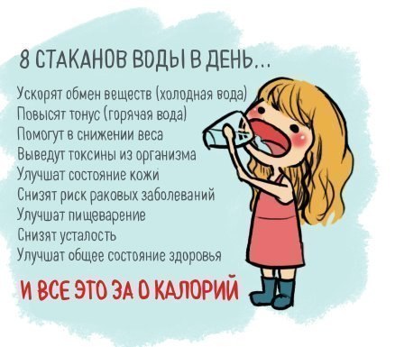 ������ ����