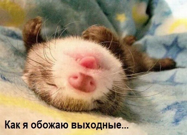 ������ ���� ������� � ������� :)