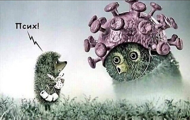 ����.