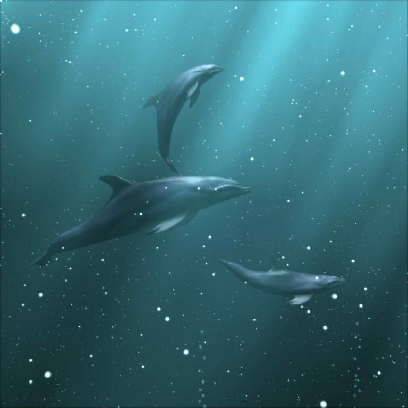 Delfin
