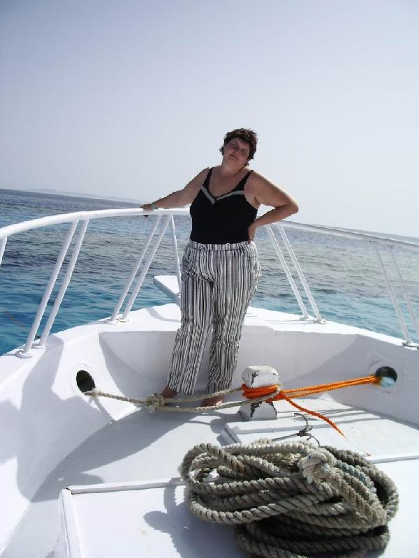 ��� 2006