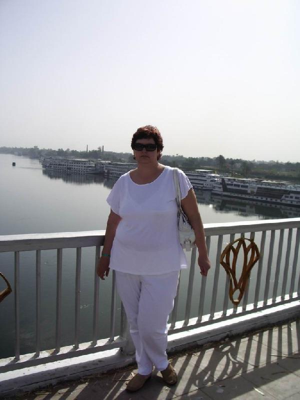 ��� 2006