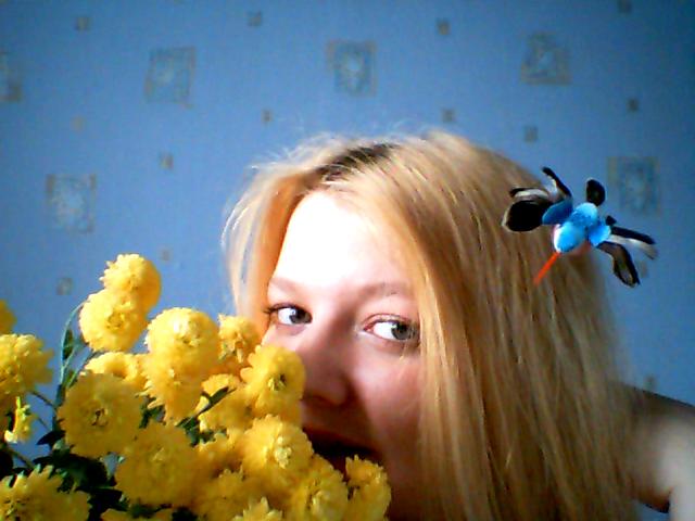 ���� 2006