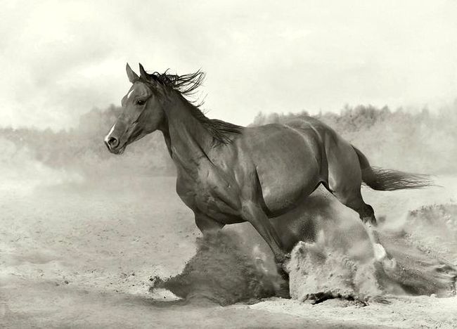 1211