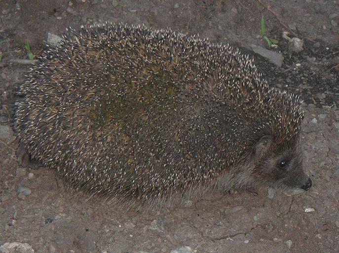 ����� �� ����