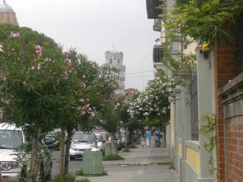 Pisa