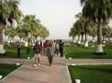 �� ������ ����� Sealine Beach Resort