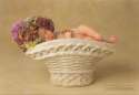 anne geddes