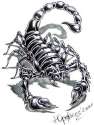 SKORPION