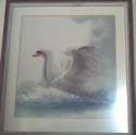 ������