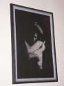 Lady in Black/White