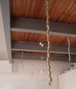 Girljandy