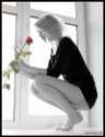 amore_amore