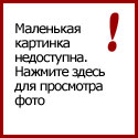 Murza