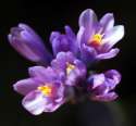 For you