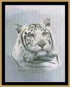 kustom krafts - MM-19 White Tiger