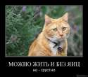 �� ��...