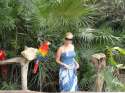 ���� X-Caret
