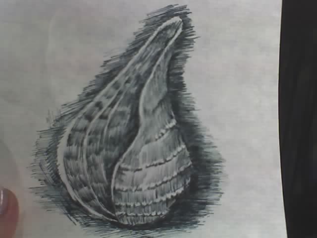 01-06-06_0937.jpg