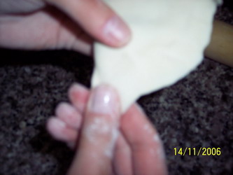 100_1980_resize.JPG
