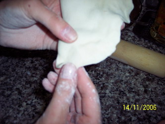 100_1981_resize.JPG