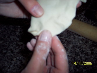 100_1982_resize.JPG