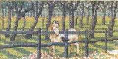 13-1339.jpg