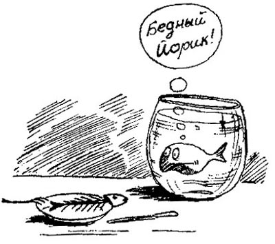 229.jpg