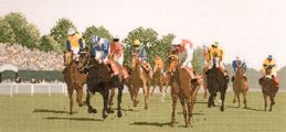 249 Horse Racing.jpg