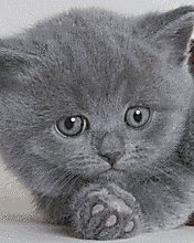 791574929.gif