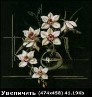 90ca6da184b595940e.jpg
