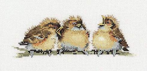 birds braun.jpg