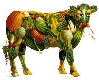 bull.jpg