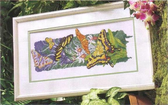 Butterflies_Island-2.jpg