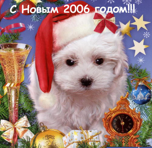 c988c84a0c28fd736c05a610a6d92263_1135892961_ng6cs.jpg