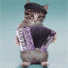 catanimation4_20071004_1820202776.gif