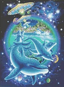 dolphin connections.jpg