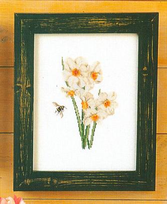 foto2.jpg