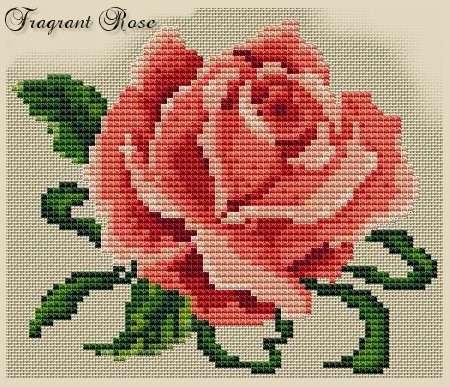 fragrant_rose_191.jpg