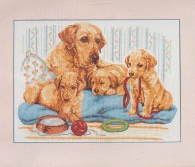 Labrador Famili.jpg